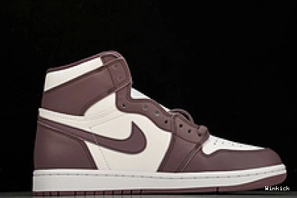 High “Mauve” DZ5485-105 Jordan OG 1 1113